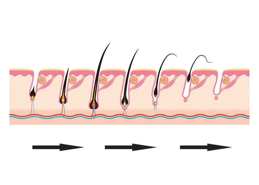 HeadBlade 101: Why You Should Shave With The Grain - HeadBlade